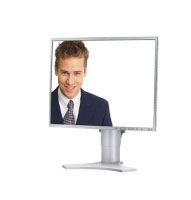 Nec MultiSync LCD1990FXp